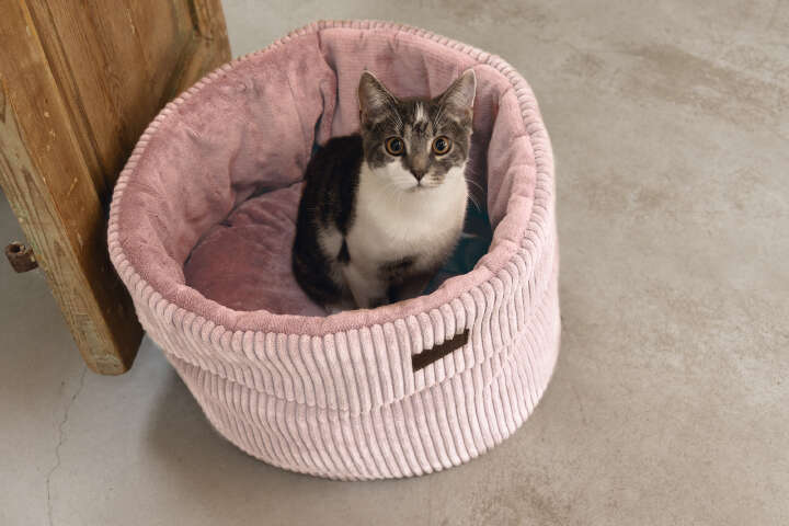 Designed by Lotte Katzenkorb "Ribbed"